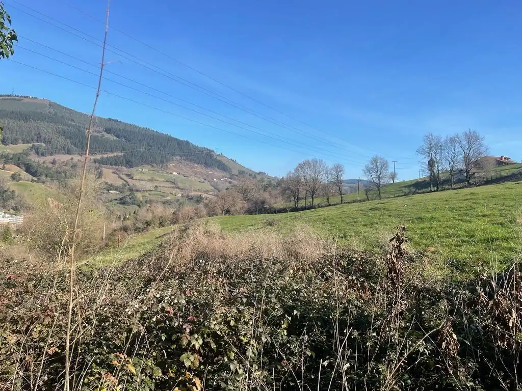 Land for sale in Balmaseda
