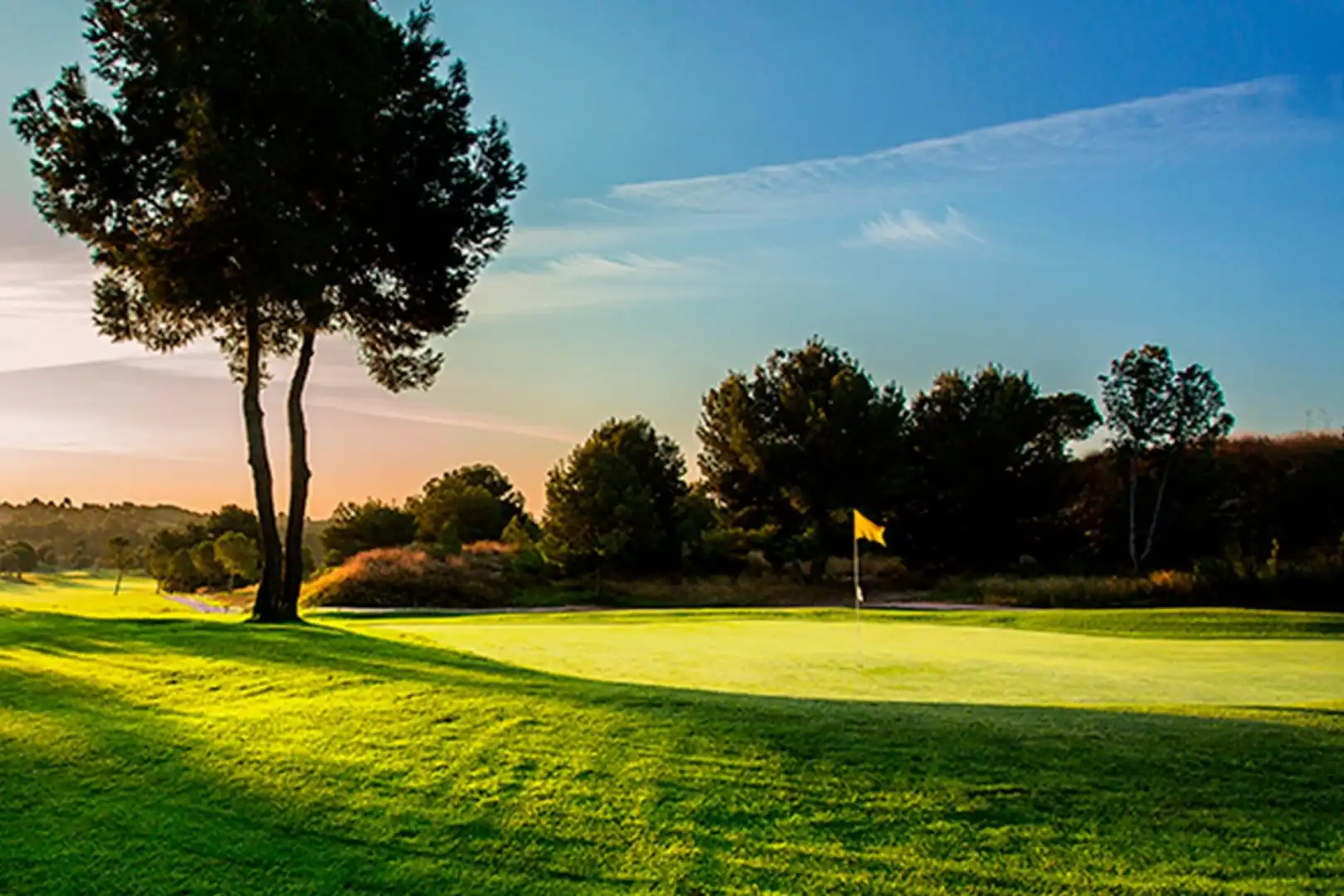 Adossat amb terrassa en venda a Alenda Golf, imagen 16