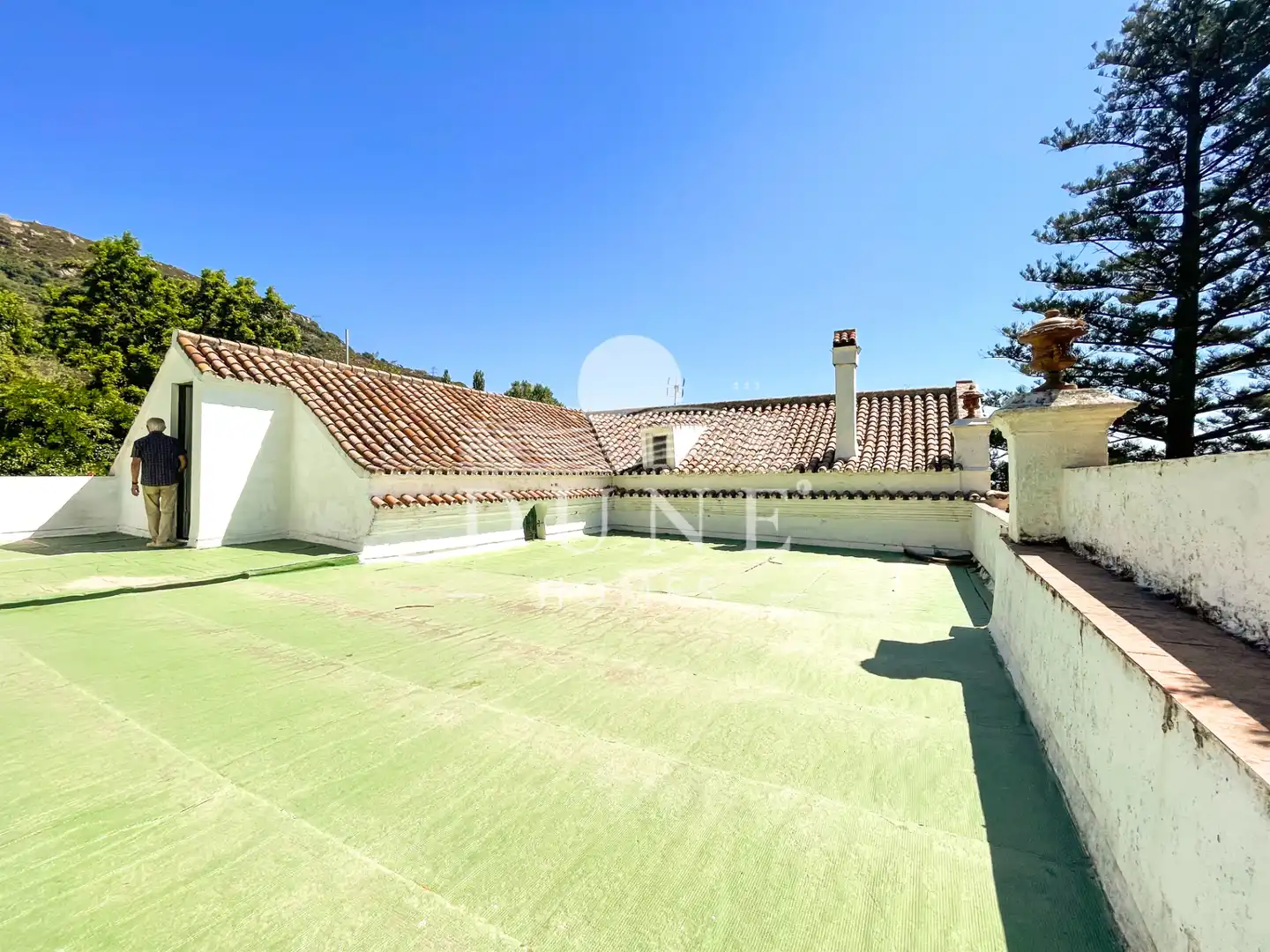 Garden of Country homes for sale in Algeciras  with Private garden, Terrace and Storage room