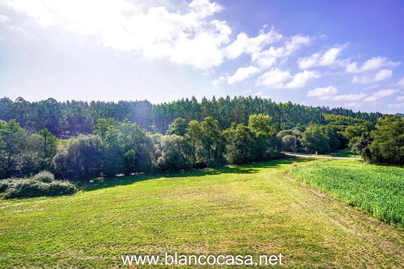Casa o chalet en venta en Carballo con Calefacción, Jardín privado y Trastero
