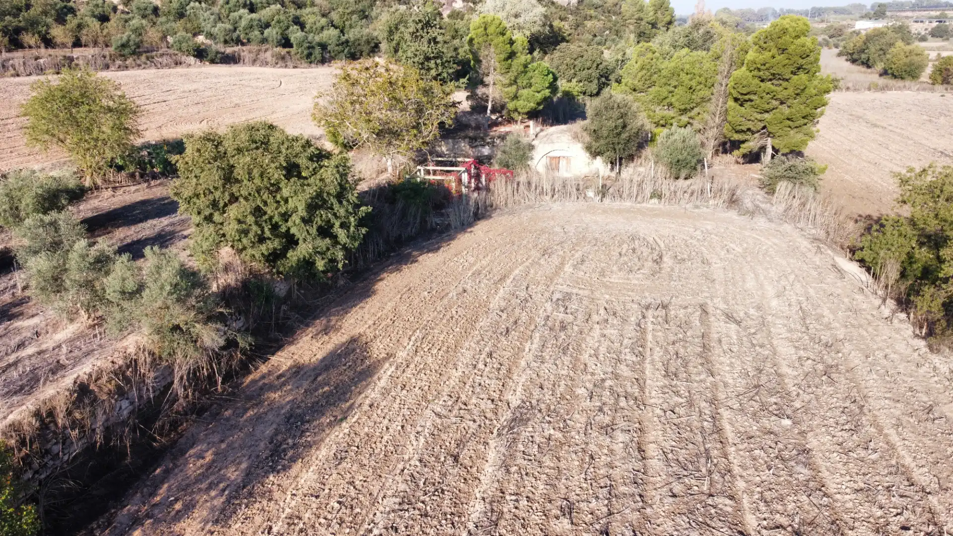 Rural land for sale in Arbeca, imagen 13
