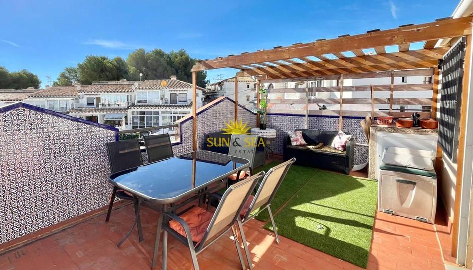 Photo 1 of Attic to rent in Los Balcones - Los Altos, Alicante