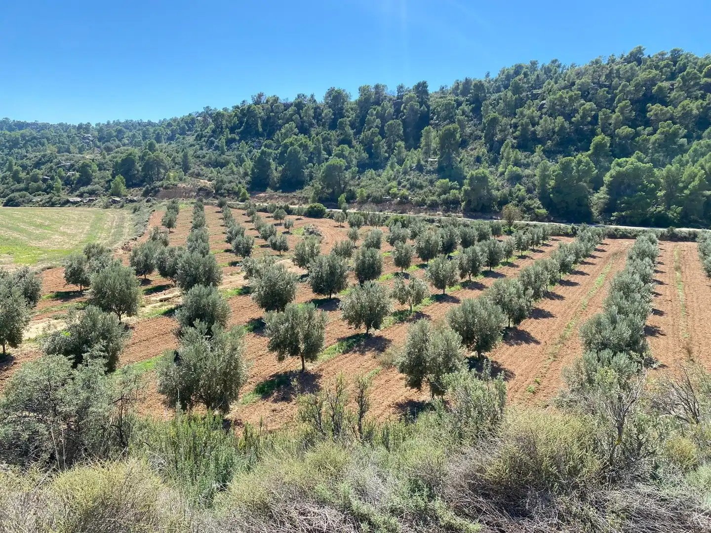 Residential for sale in Alcañiz