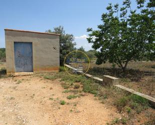 Land for sale in L'Olleria