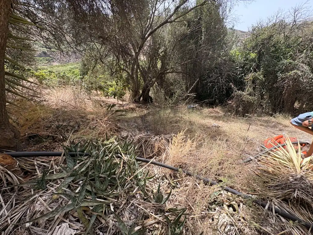 Finca rústica en venta en Benamargosa con Jardín privado y Amueblado