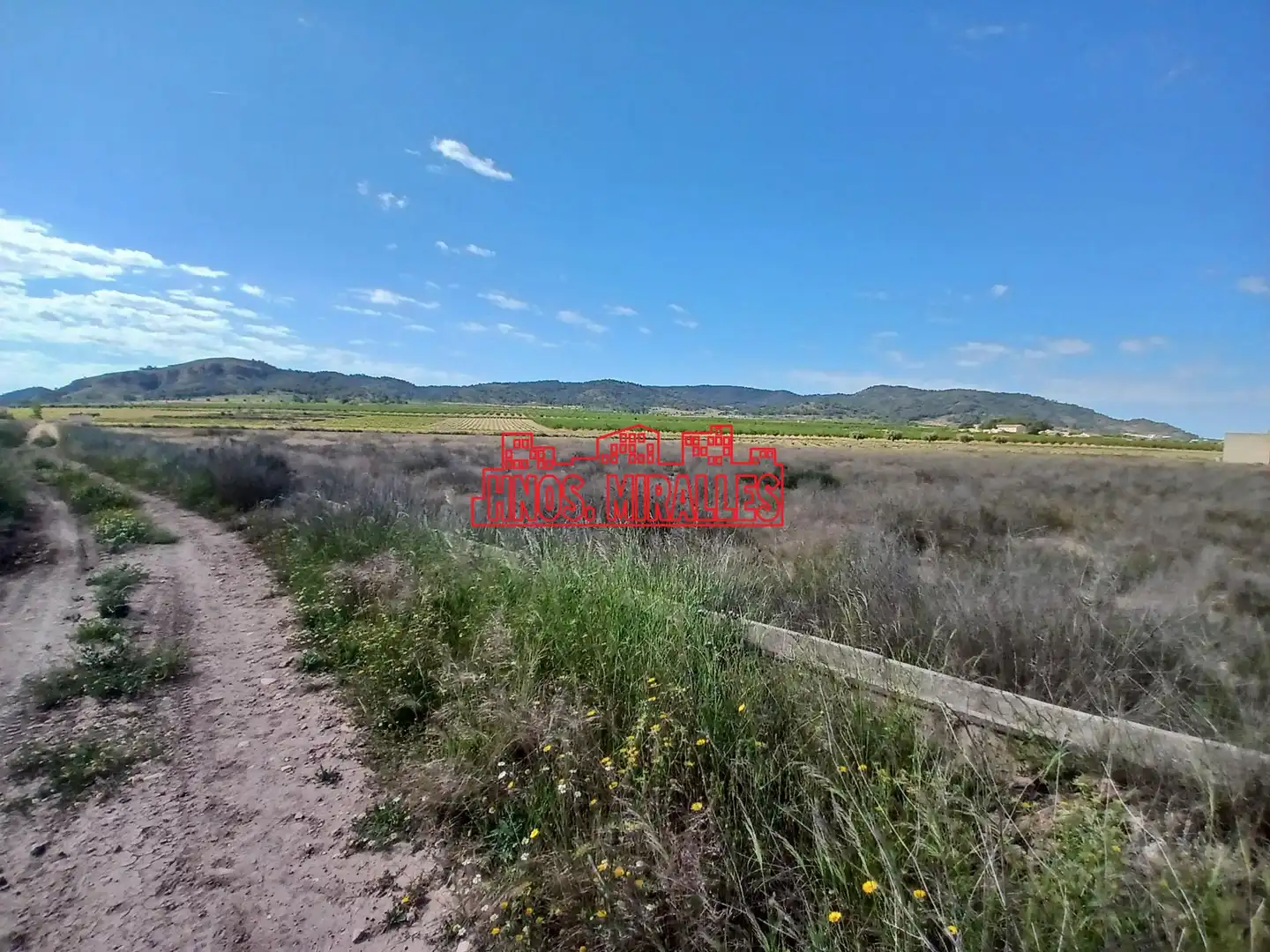 Terrenys i solars en venda a Abanilla, imagen 4