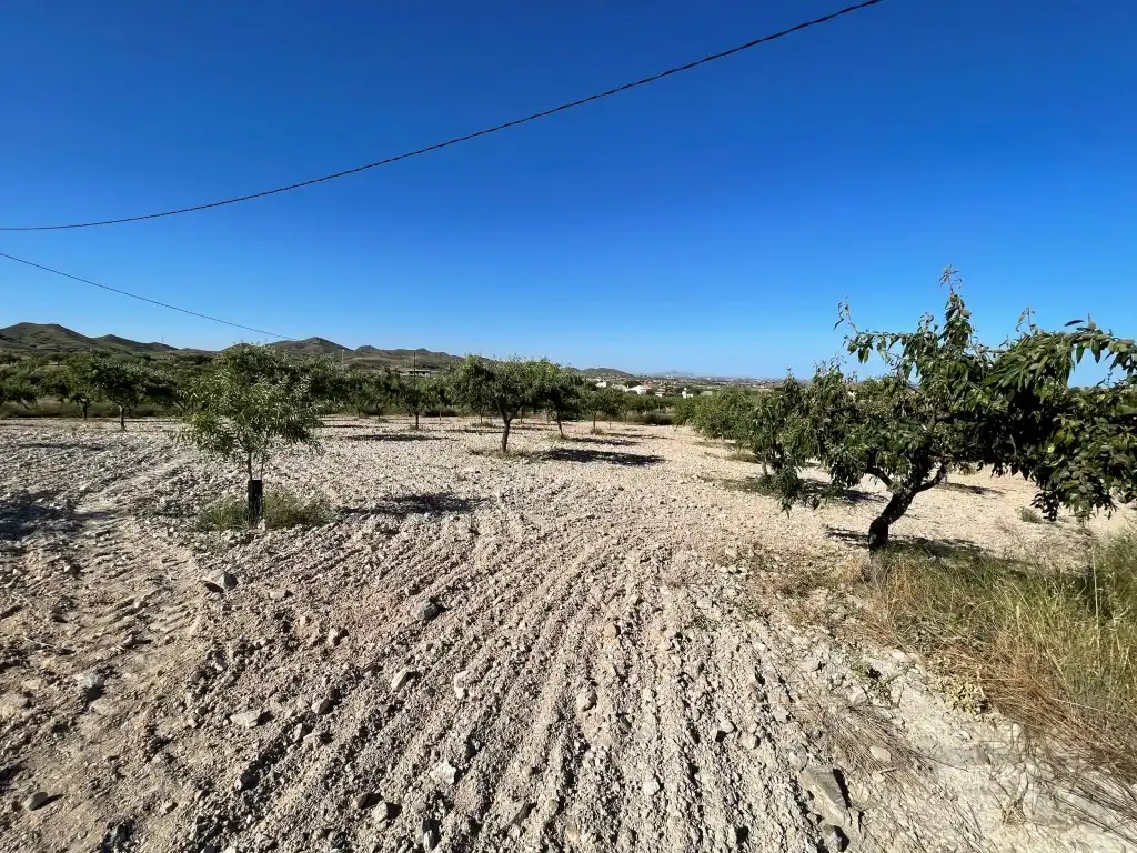 Finca rústica en venda en Pedanías Oeste