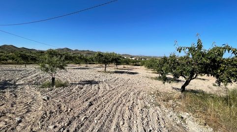 Foto 5 de Finca rústica en venda a Los Puertos, Cartagena