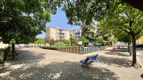 Photo 2 of Flat for rent in Madre de Dios, Jerez de la Frontera