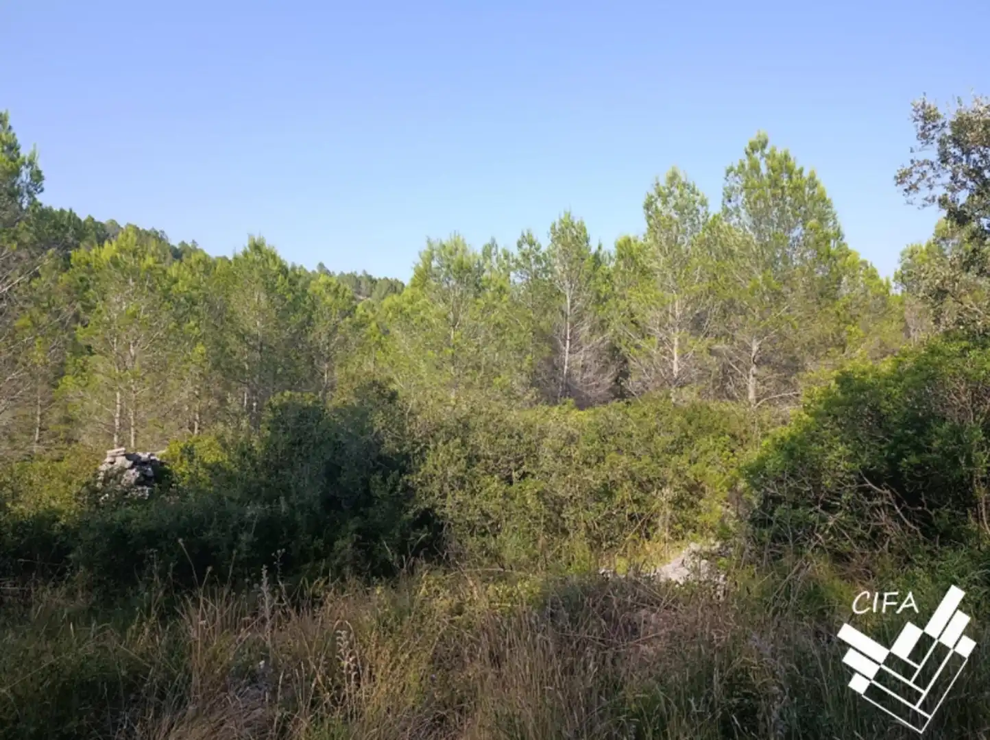 Terreno en venta en Sant Mateu