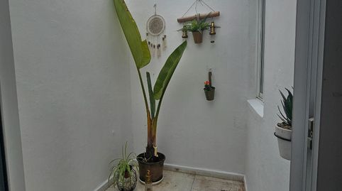Foto 5 de Piso de alquiler en Calle Santiago Ascanio Montemayor, San Gregorio, Telde