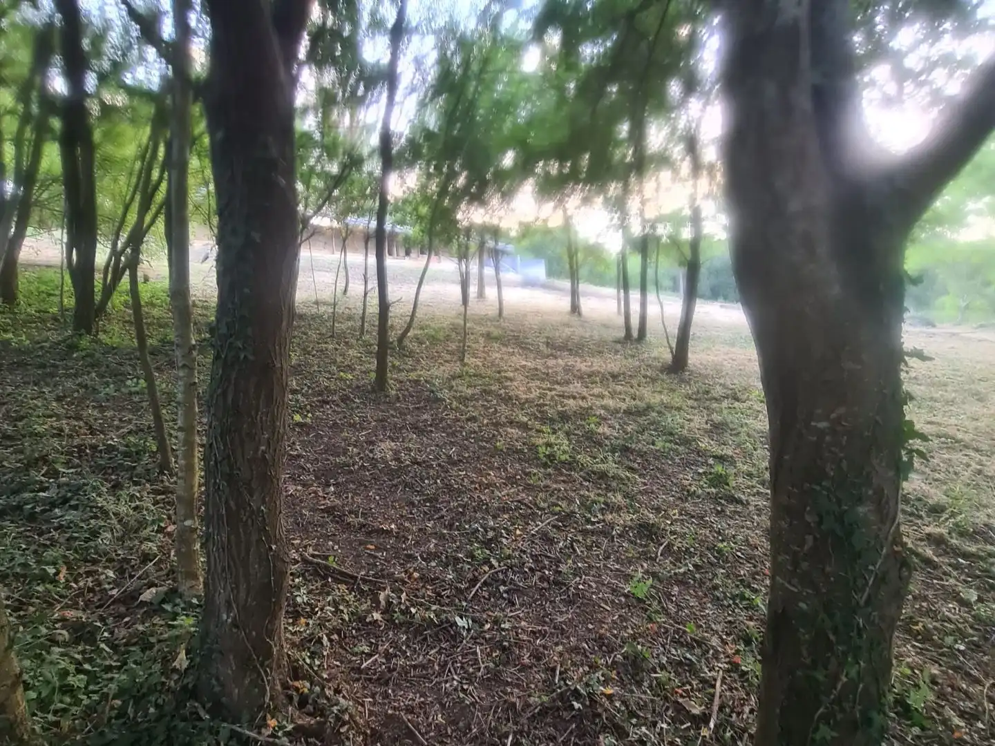 Terreno en venta en Bakio