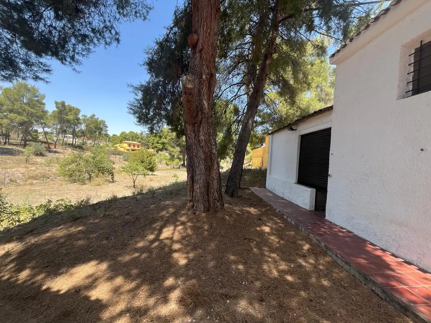 Jardí de Casa o xalet en venda en Almansa amb Aire condicionat, Calefacció i Jardí privat