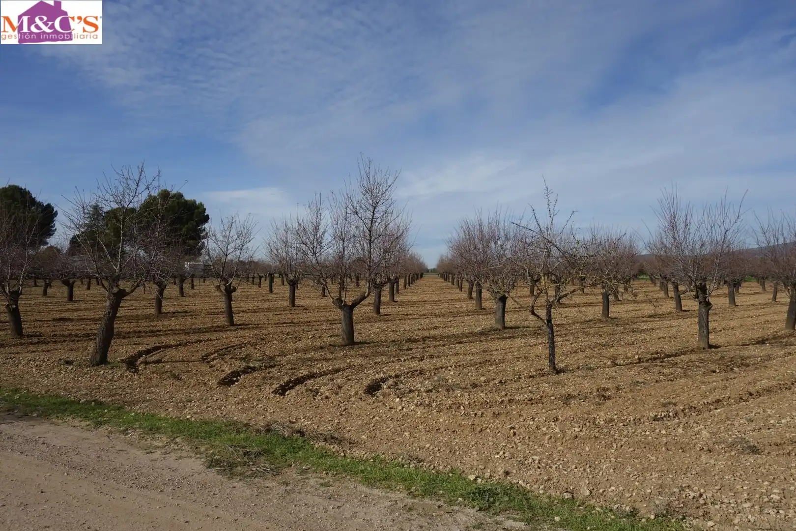 Terreno rustico in vendita a Argamasilla de Calatrava, imagen 2