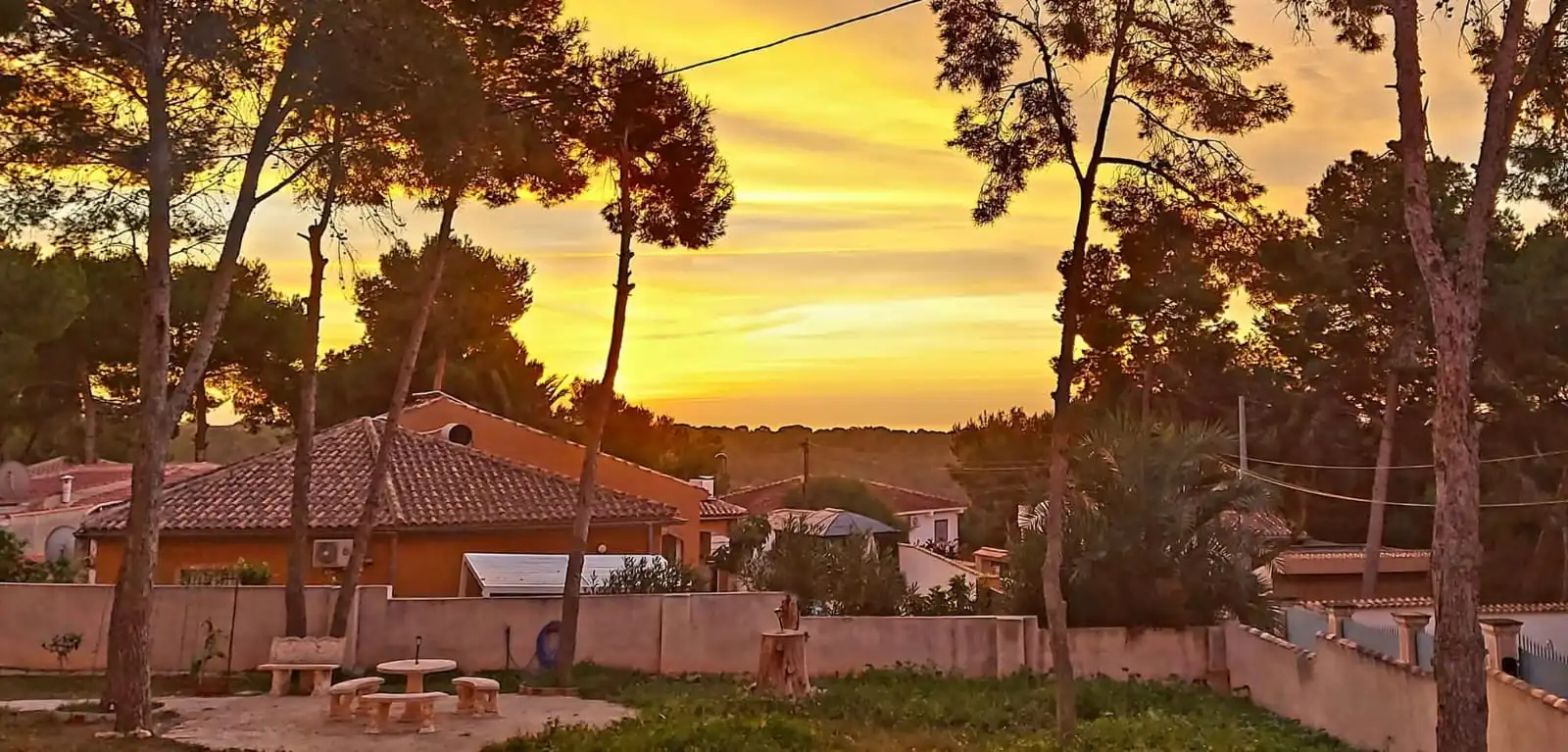 Xalet amb jardí en venda a El Pinar de Campoverde, imagen 11
