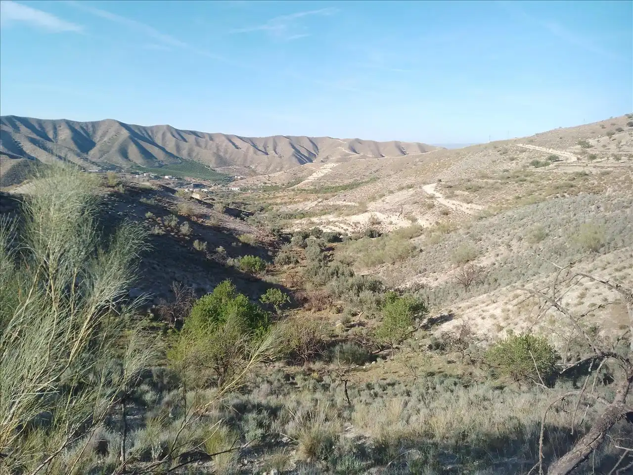 Terreny residencial en venda a Paraje Arroyo Del Aceituno, imagen 12