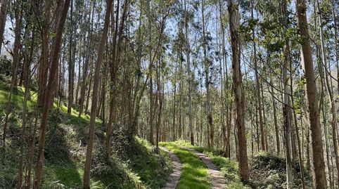 Foto 5 de Casa o chalet en venta en Rubalcaba - la Quieva, Liérganes, Cantabria