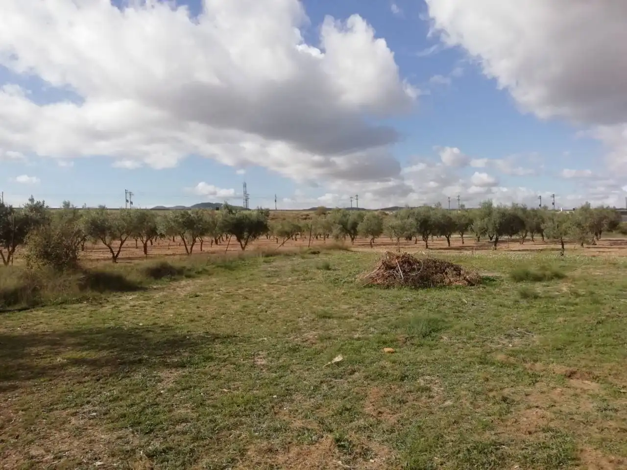 Finca rústica en venta en Pasaje PARTIDA CABRERAS, 39105, Sax