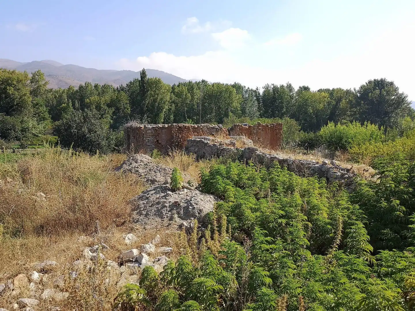 Terreny rústic en venda a PAGO ACEQUIA BAJA Polígono 11 Parcela 174 11, imagen 3