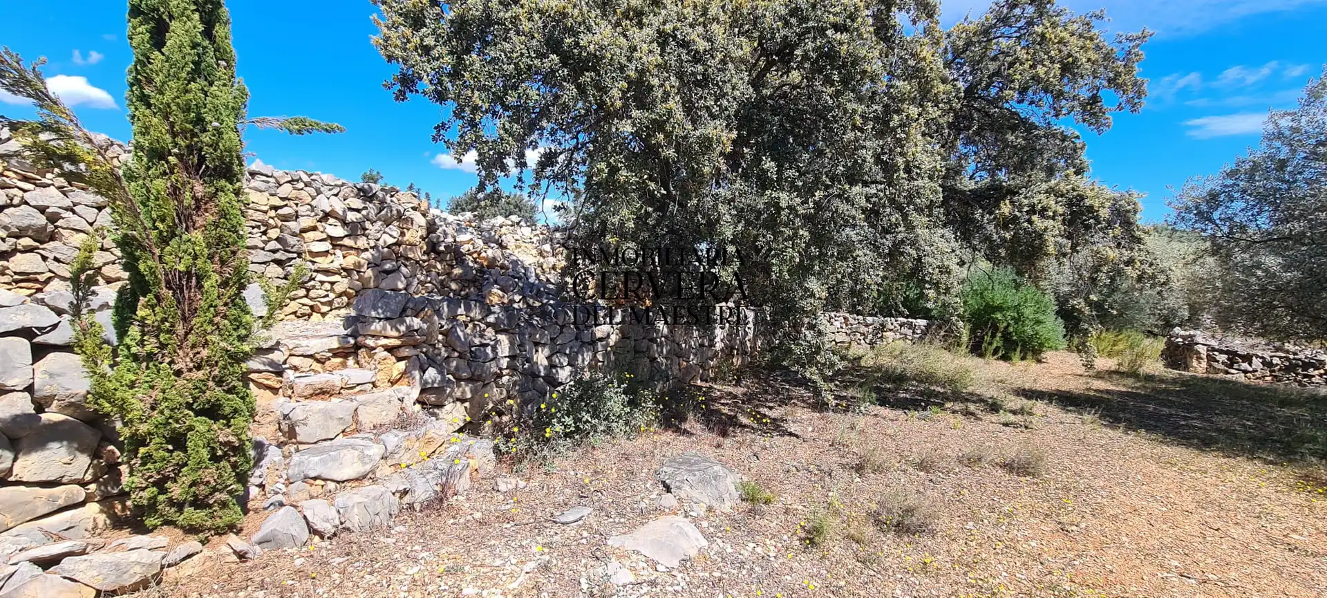 Terreno rustico in vendita a Cervera del Maestre, imagen 34