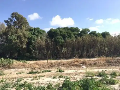 Terreno en venta en Rota