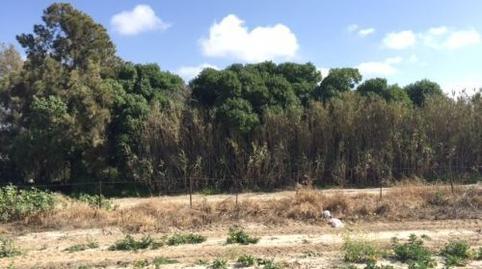 Photo 4 of Land for sale in Avenida de Los Principes de España, 67, Virgen del Mar, Cádiz