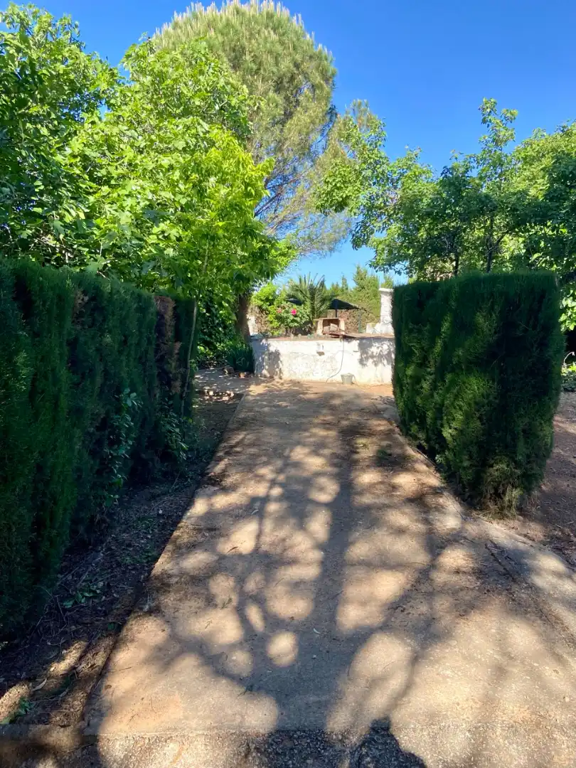 Jardín de Casa o chalet en venta en Fernán Caballero con Aire acondicionado, Jardín privado y Trastero