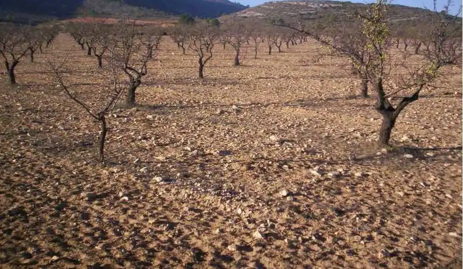 Rural land for sale in PL 20, imagen 9