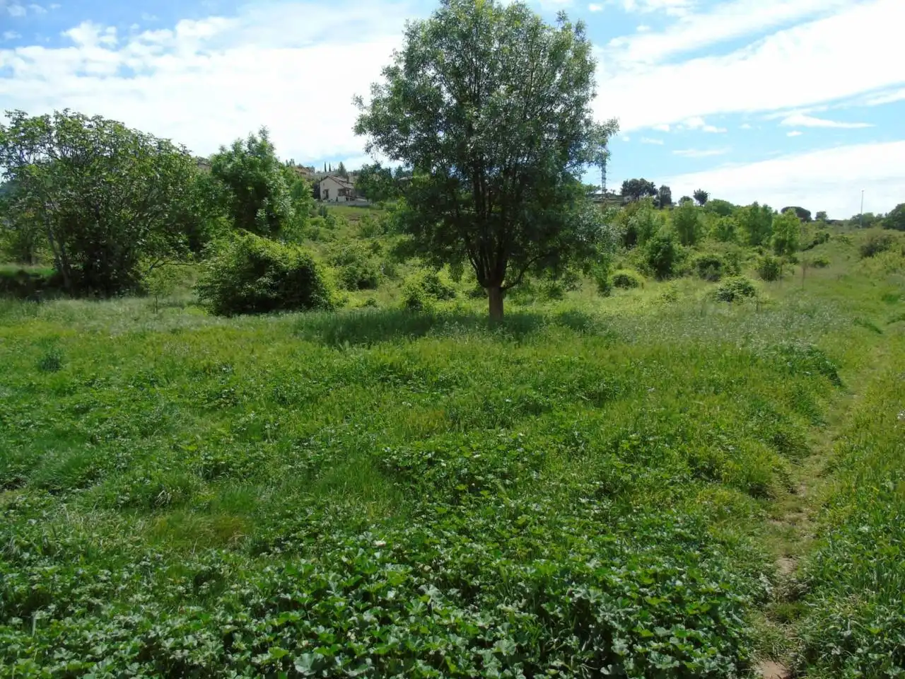 Terreno rustico in vendita a Berga, imagen 3