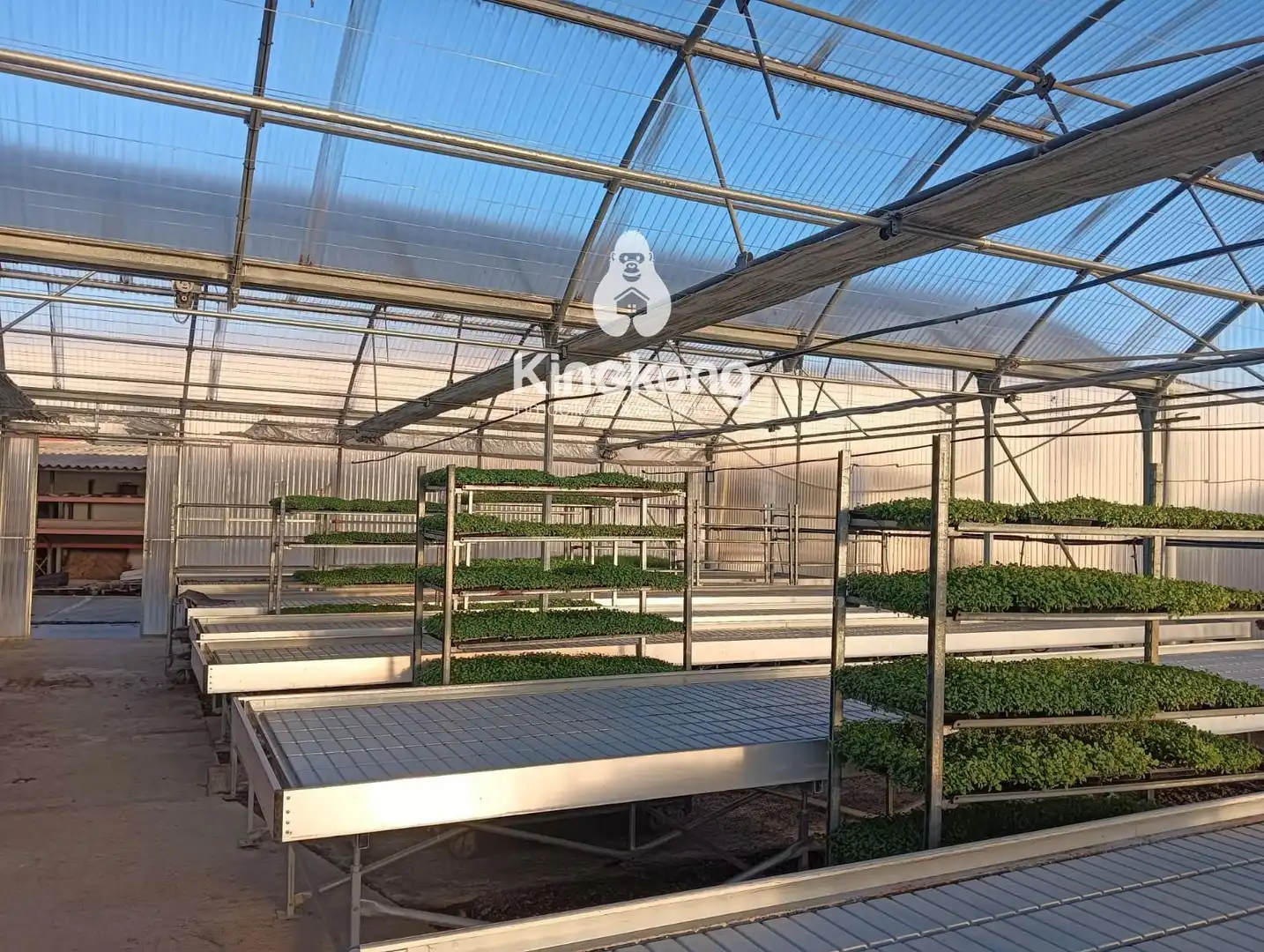 Garten von Grundstücke zur Miete in Arganda del Rey