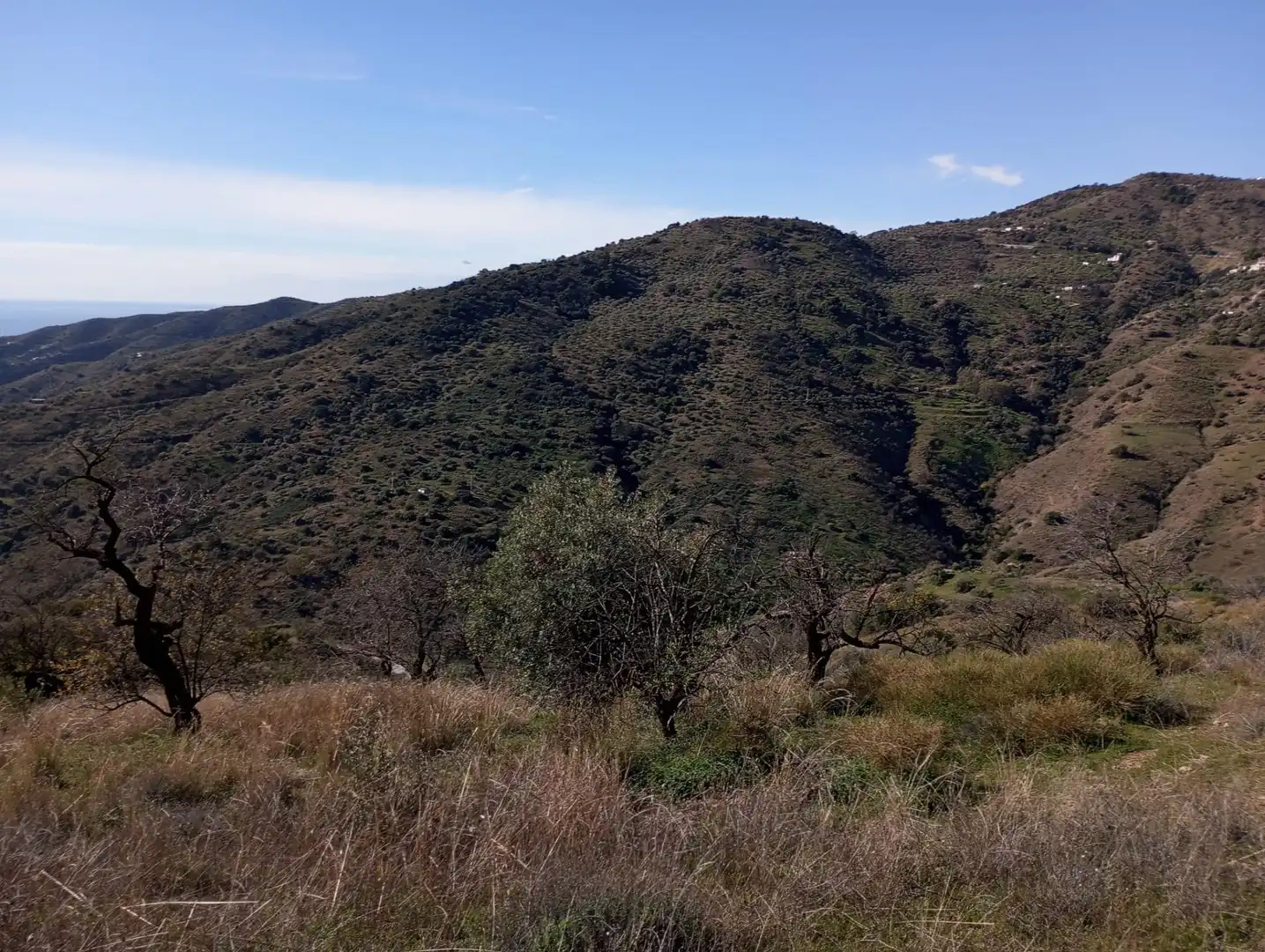 Land for sale in Málaga