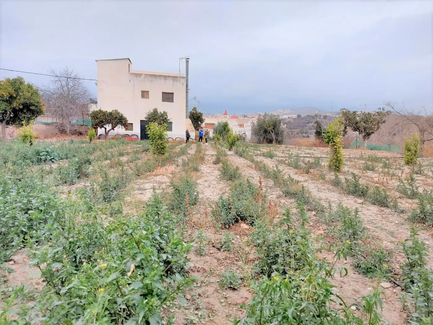 Casa o chalet en venta en Ugíjar