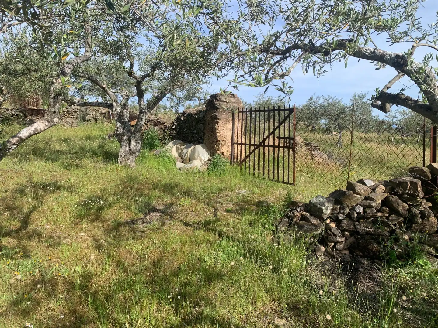 Terreni e lotti in vendita a LAS CARBONERAS, imagen 7