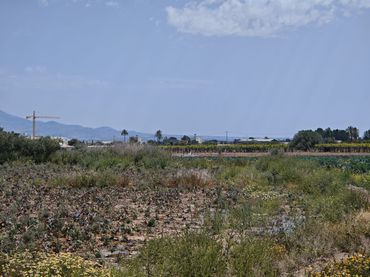 Terreno rustico in vendita a Totana