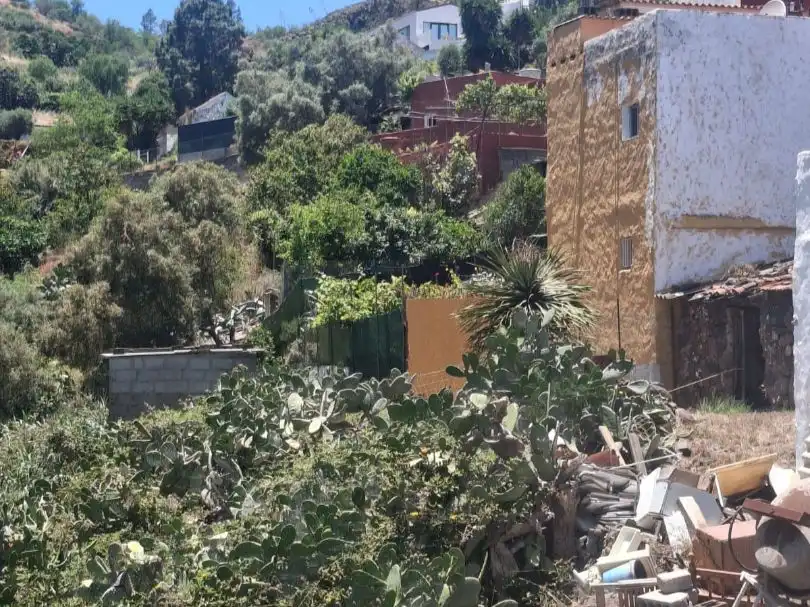 Garden of Residential for sale in Vega de San Mateo