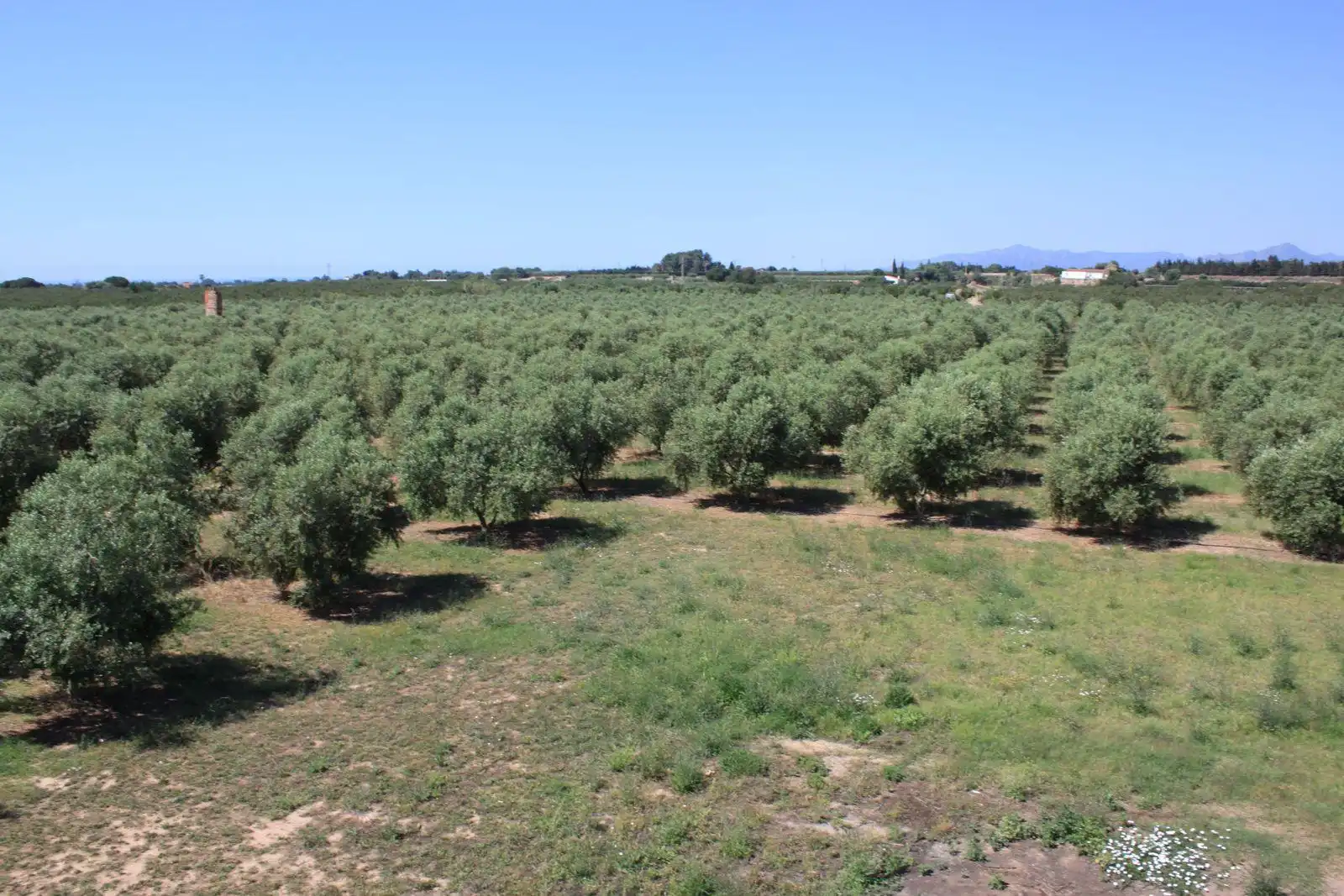 Finca rústica en venda en Riudoms amb Calefacció, Jardí privat i Piscina
