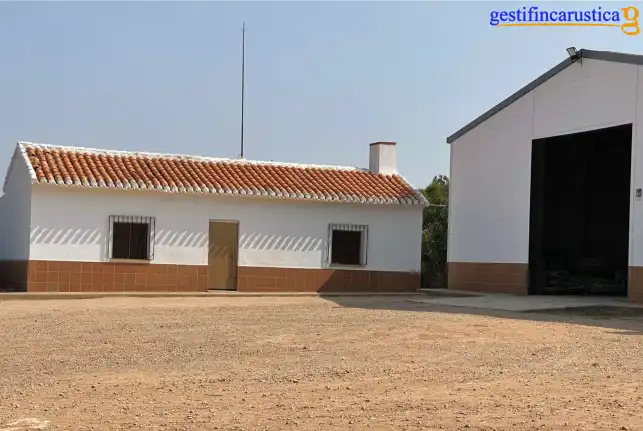 Terreno rústico en venta en Plaza España, imagen 18