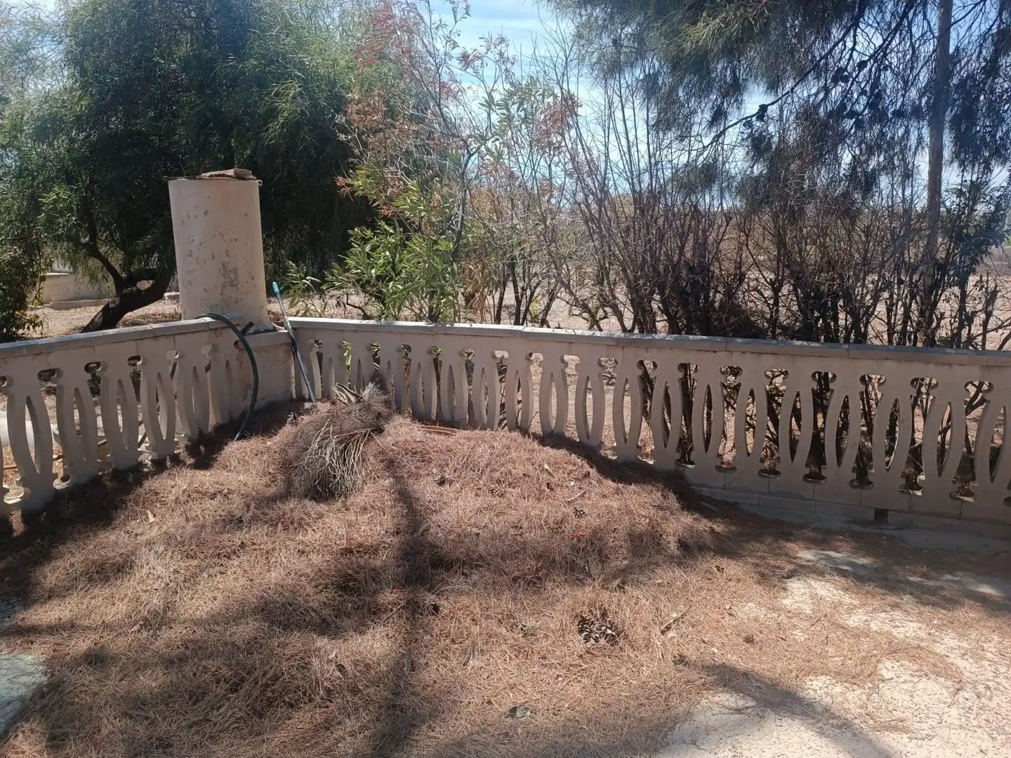 Garden of Residential for sale in Elche / Elx