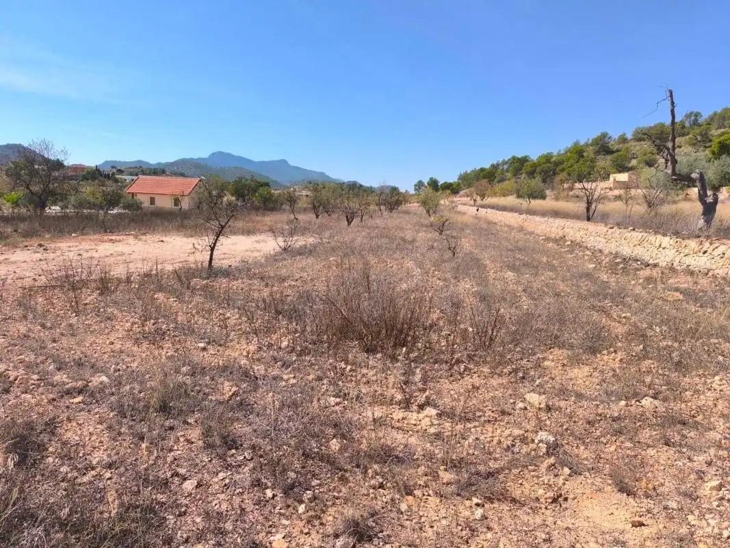 House for sale in El Pinós / Pinoso, imagen 30