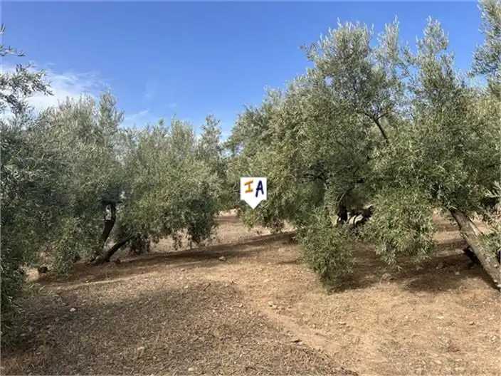 Casa rústica en venda a Priego de Córdoba, imagen 13
