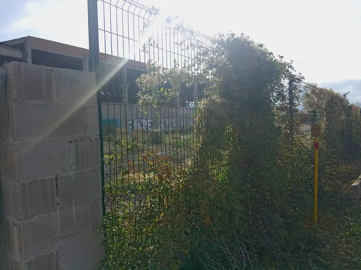 Industriegebäude zur Miete in MANRESA, imagen 2