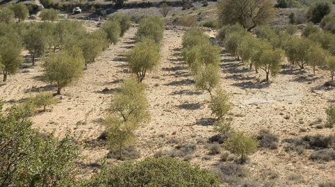 Foto 3 de Terreny en venda a Villarejo de Salvanés, Madrid