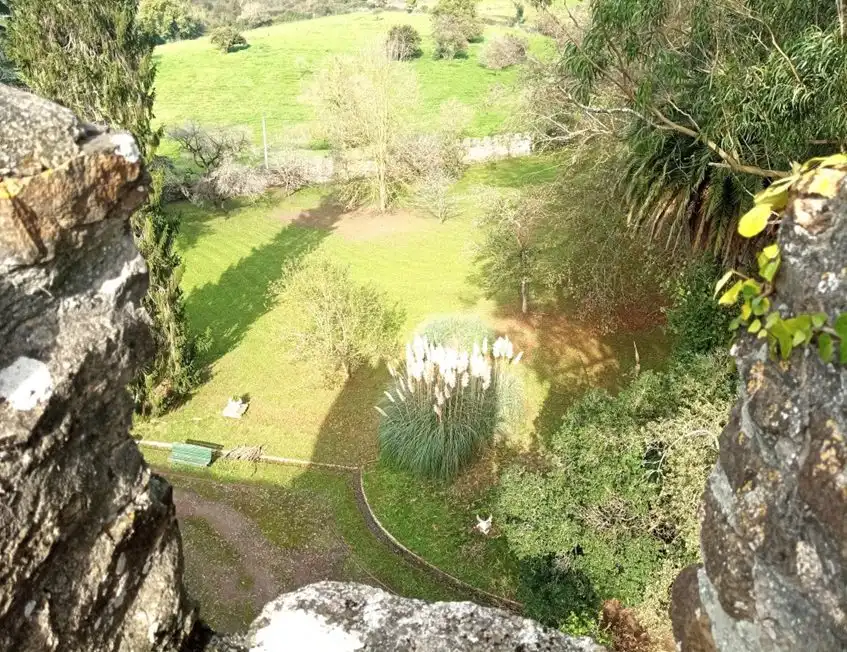 Garden of Houses for sale in Salas  with Furnished