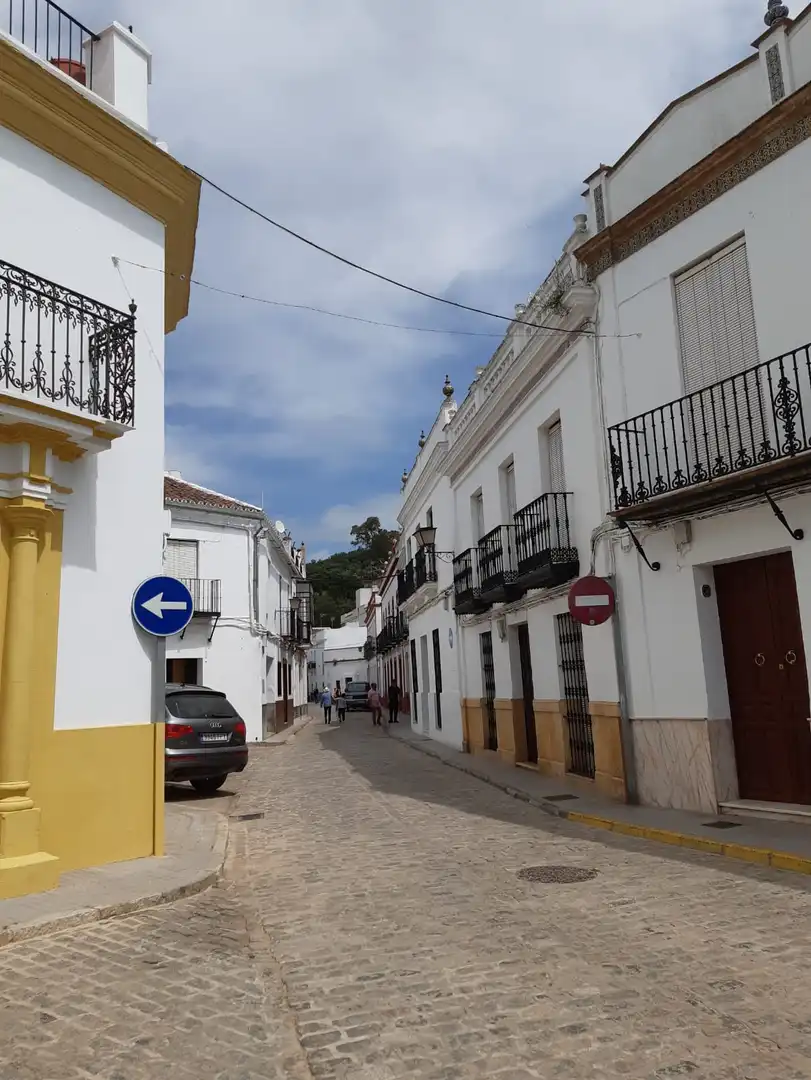 Exterior view of Buildings for sale in Constantina