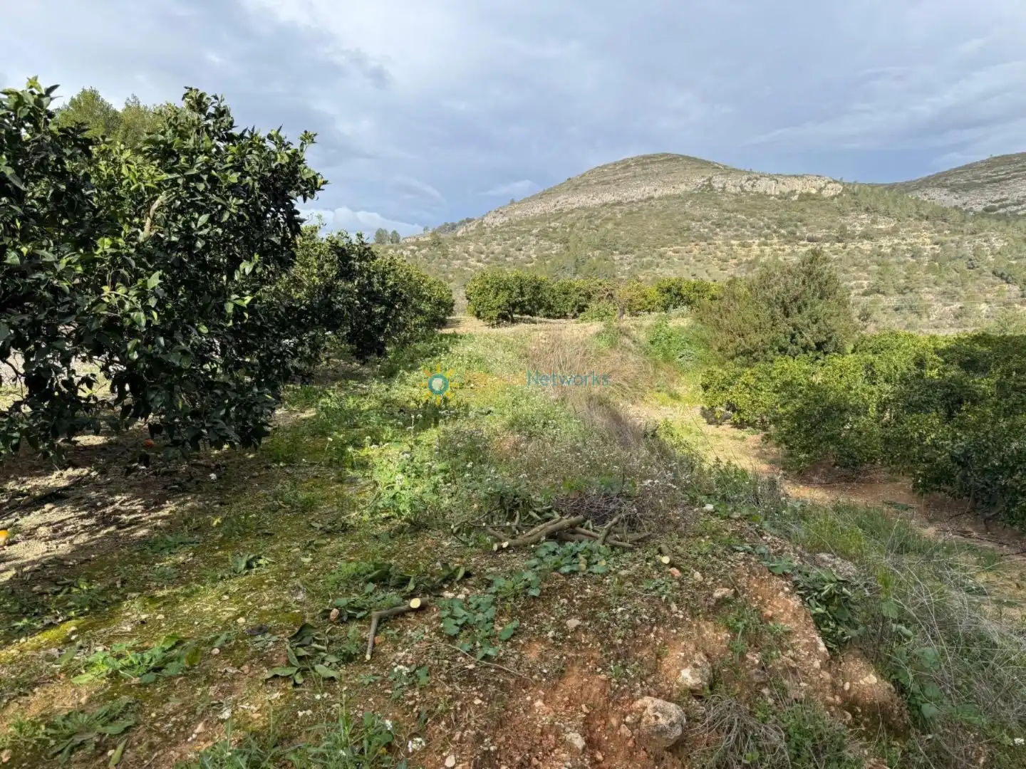 Rural land for sale in Benigànim, imagen 9