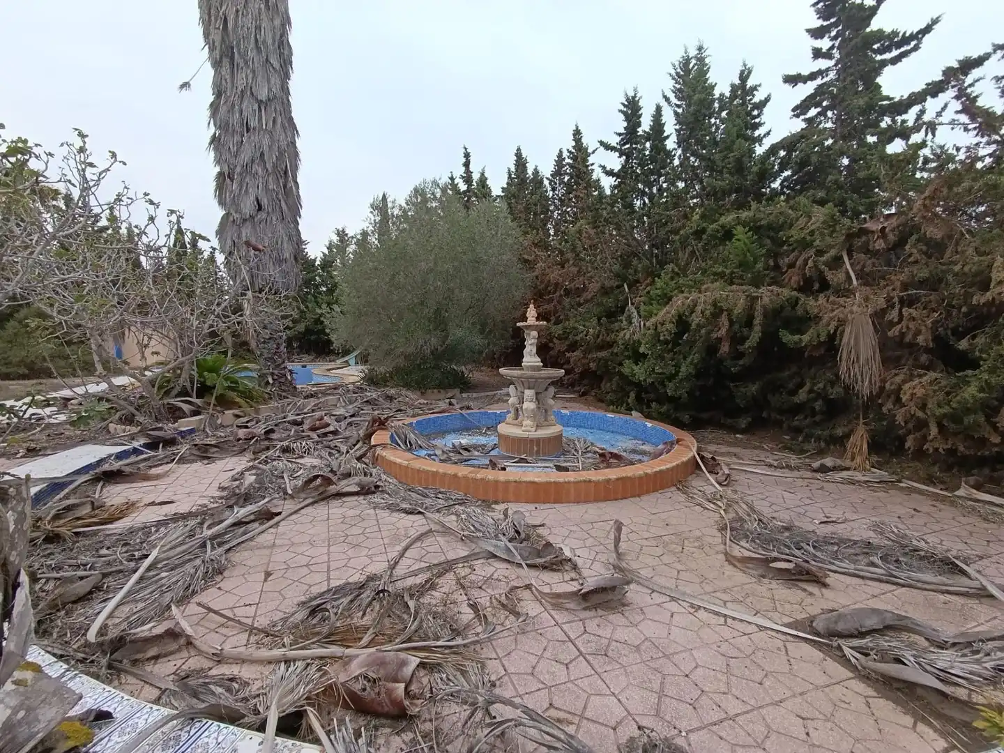 Jardí de Casa o xalet en venda en Elche / Elx amb Jardí privat, Terrassa i Traster