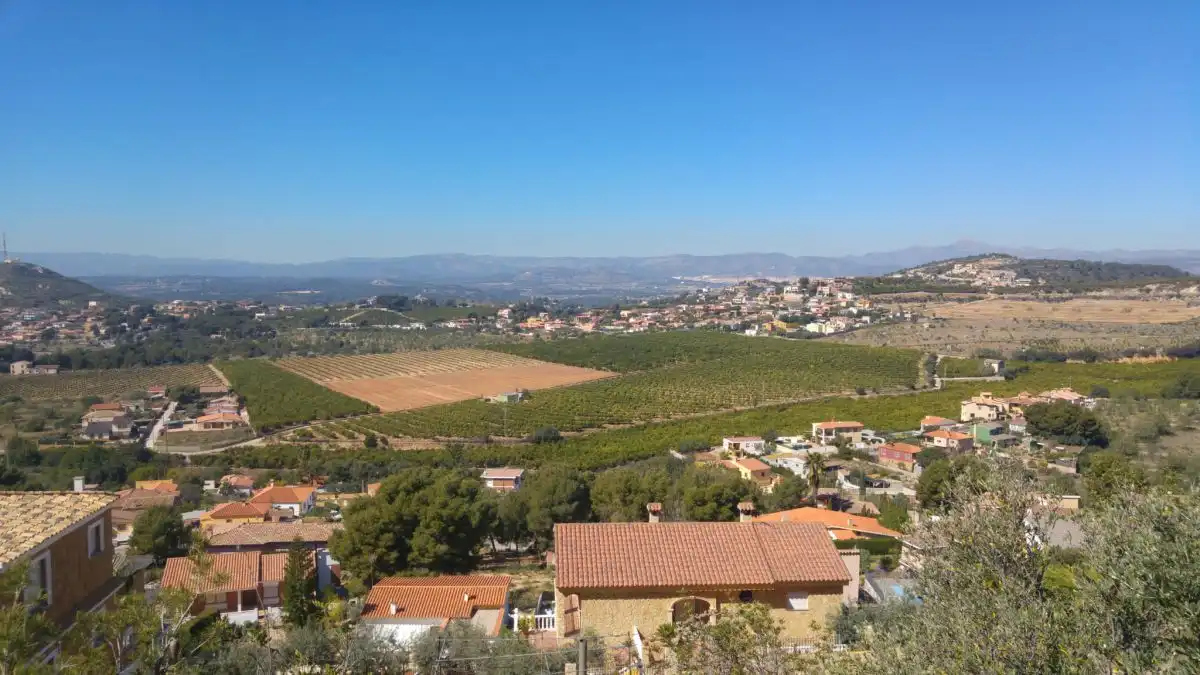 Lands and plots for sale in Borriol, imagen 3