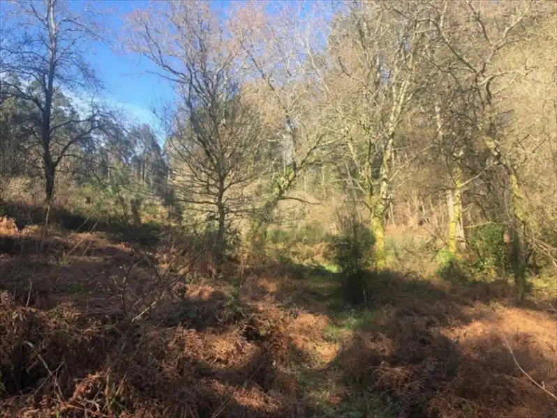 Terreno rustico in vendita a Barro, imagen 2