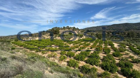 Photo 4 of Land for sale in Rm-603, Sierra de Carrascoy, Alhama de Murcia