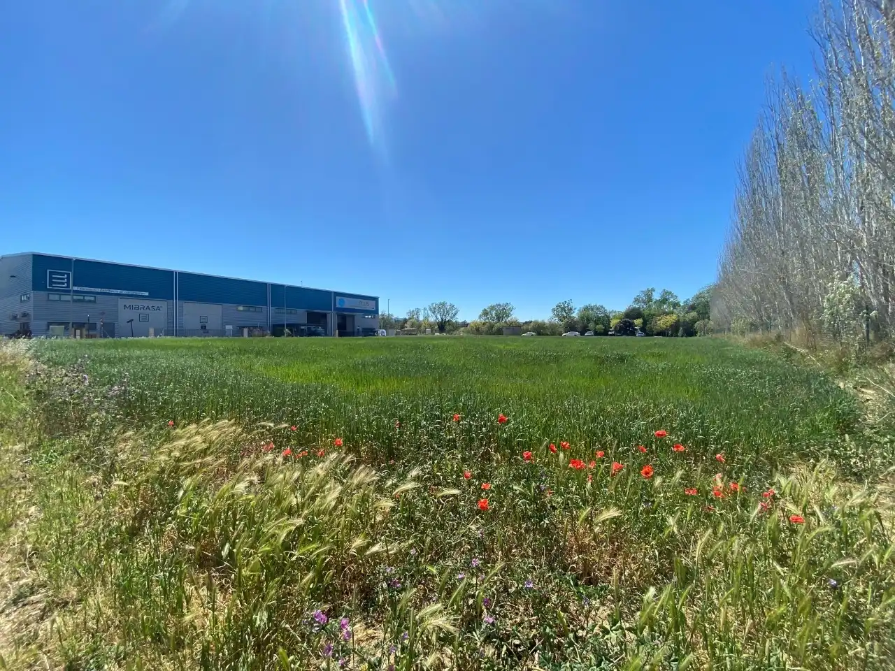 Industrial land for sale in Carrer Acacies, 8, Forallac